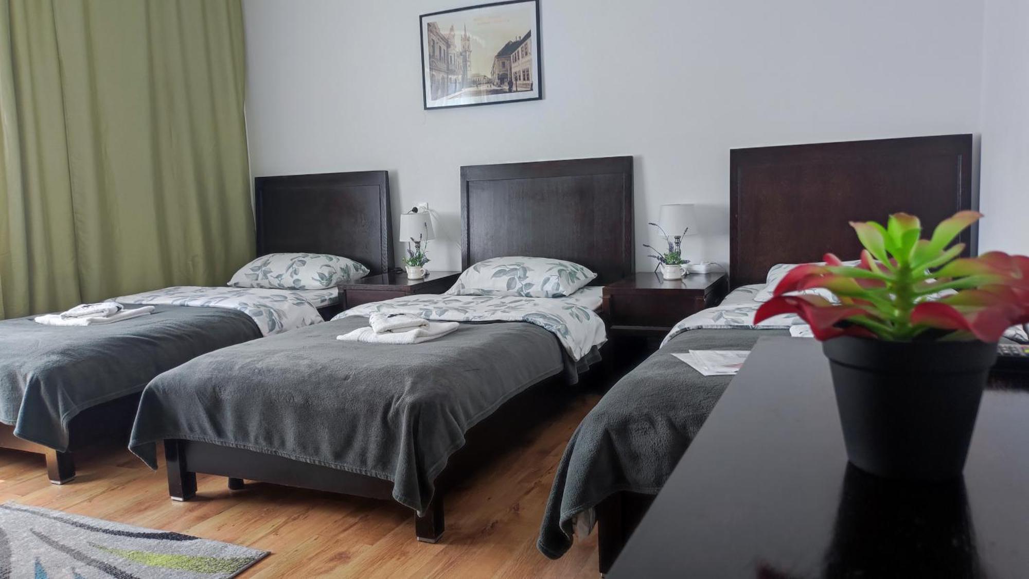 Casa De Oaspeti Wallendorf Bistrita Unirea Ruang foto